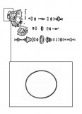 O-RING <br> Differencial Transfer