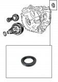 AXLE CASE SEAL <br> Volvo & Mondeo