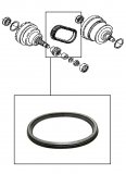 DRIVE BELT <br> All Models