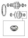 ROLLER BEARING <br>  Primary Support