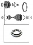 BALL BEARING <br> Primary Shaft