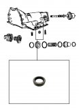 METAL CLAD SEAL <br> Selector Shaft