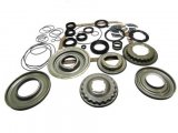 OVERHAUL KIT & PISTONS