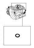 O-RING <br> Oil Cooler to Bolt