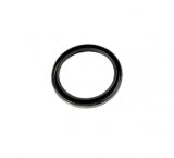 CONVERTER LIP SEAL  <br><br> 096 01M