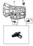 SENSOR <br> Output & Input