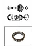 OVERDRIVE SPRAG <br> Plastic Cage