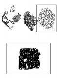 PAPER GASKET <br> GM Valve Body