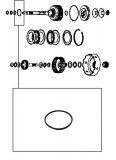 SEALING RING <br> Input Shaft 24mm