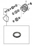 NEEDLE BEARING <br> Idler Gear 