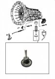 SERVO PISTON <br> Low & Reverse Band