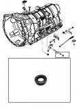 METAL CLAD SEAL <br> Selector Shaft