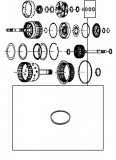 SEALING RING <br> Input Shaft 24mm 