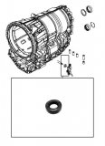 METAL CLAD SEAL <br> Selector Shaft