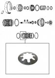 DIAPHRAGM SPRING <br> 8-Lugs  <br> Forward Clutch <br> 1978-up