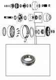 23 ROLLER BEARING <br> Gear to Case