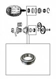 22 ROLLER BEARING <br> Shaft & Driven Sprocket