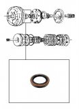 METAL CLAD SEAL <br> Front Pump