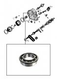 ROLLER BEARING <br> Output