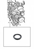 METAL CLAD SEAL <br> Input Shaft