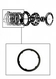 FRICTION PLATE <br> F1 Clutch