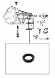 SEAL RING <br> Selector Shaft