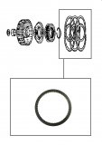 FRICTION PLATE <br> Coast Clutch 