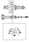 ROLLER & SPRING KIT <br> C4 & C5 Models