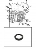 OUTER METAL CLAD SEAL <br> Input Shaft