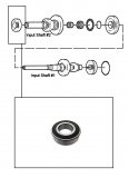 FRONT BEARING <br> Input Shaft