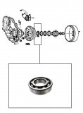 BALL BEARING <br> Rear Output Shaft