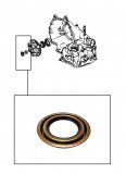 METAL CLAD SEAL <br> Front Pump <br> 1979-1981