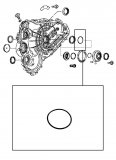 O-RING <br> Pump Drive Gear Housing