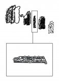 FILTER SCREEN <br> Solenoid Block