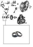 ROLLER BEARING <br> Differencial