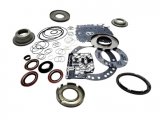 OVERHAUL KIT & PISTONS