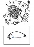 WIRING HARNESS <br> Valve Body & Sensors