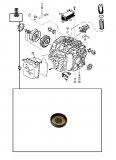 SPIDER GEAR END CAP <br> Differencial