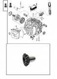 SPIDER GEAR <br> Left Side Differencial