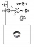 NEEDLE BEARING <br> Differencial Carrier