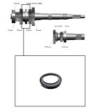 SENSOR WHEEL <br> All Models