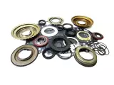 OVERHAUL & PISTON KIT
